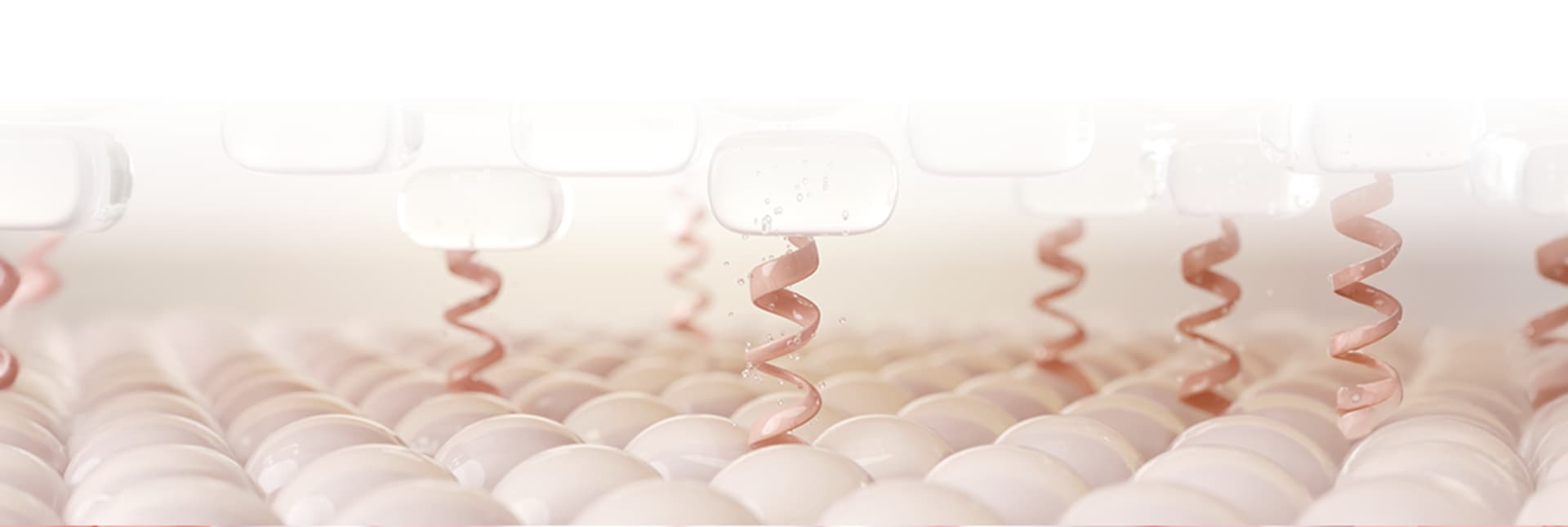 รูปภาพการรักษา