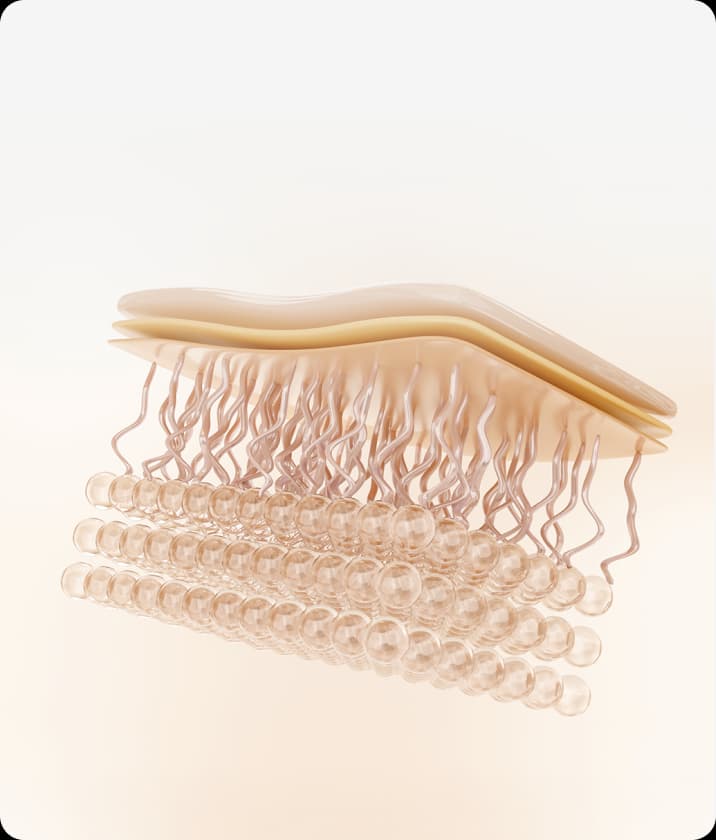 트리클 카드 배경