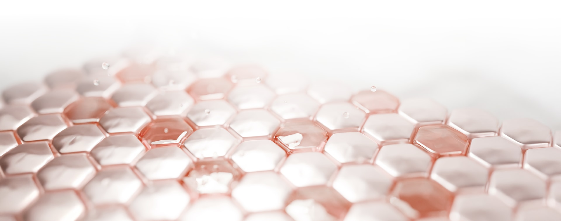 รูปภาพการรักษา