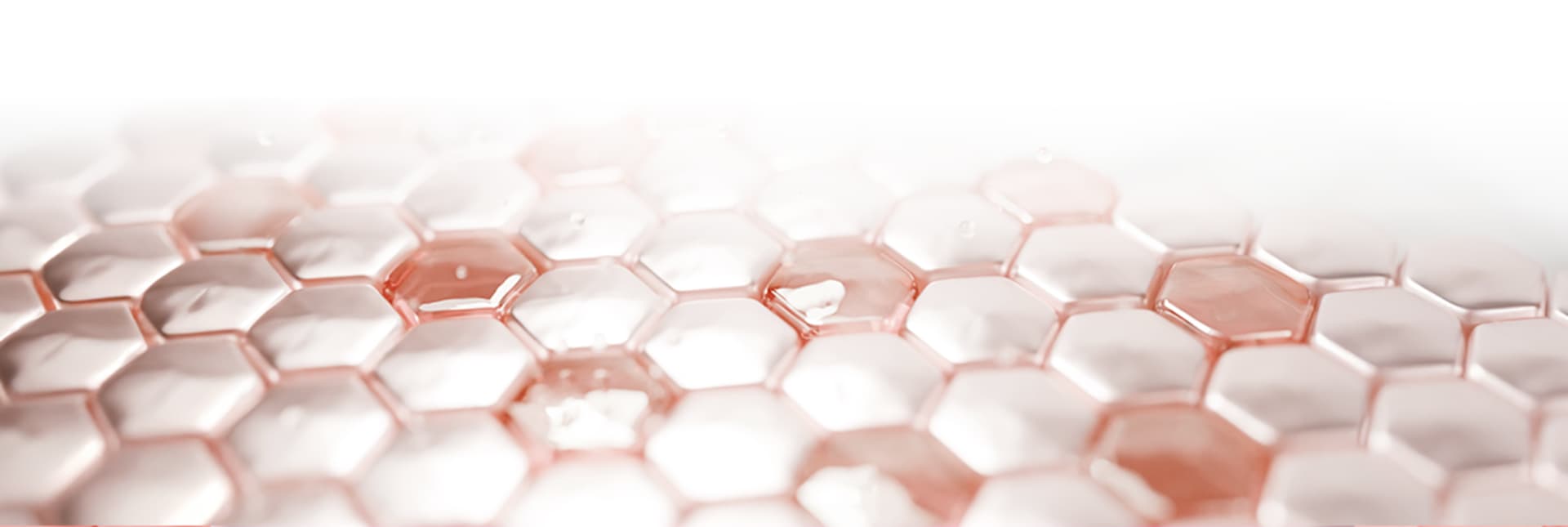 รูปภาพการรักษา