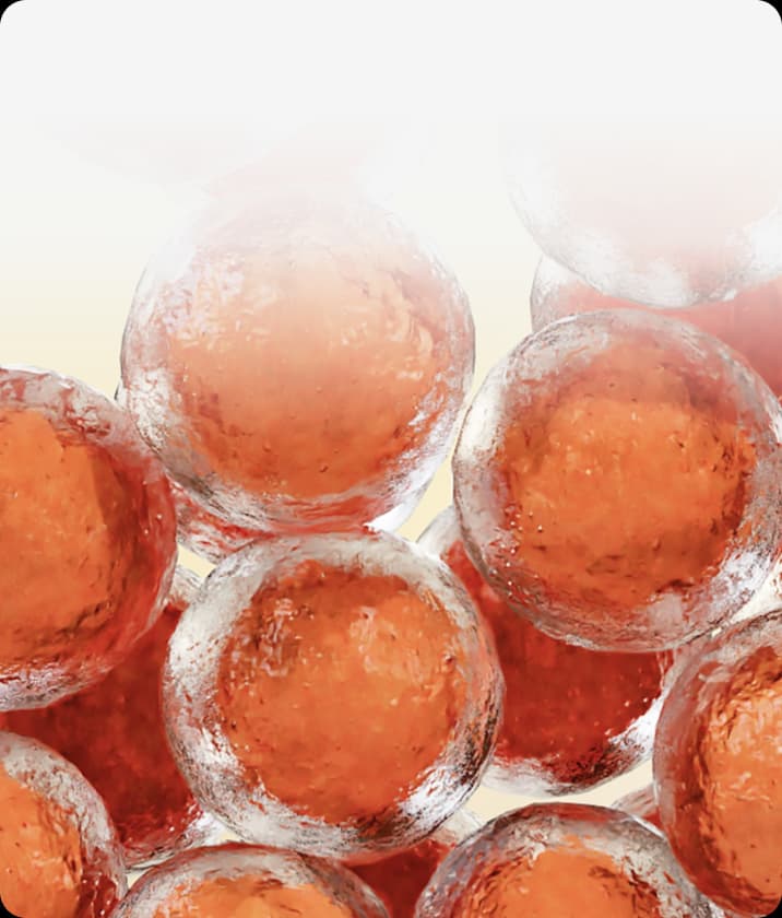 트리클 카드 배경