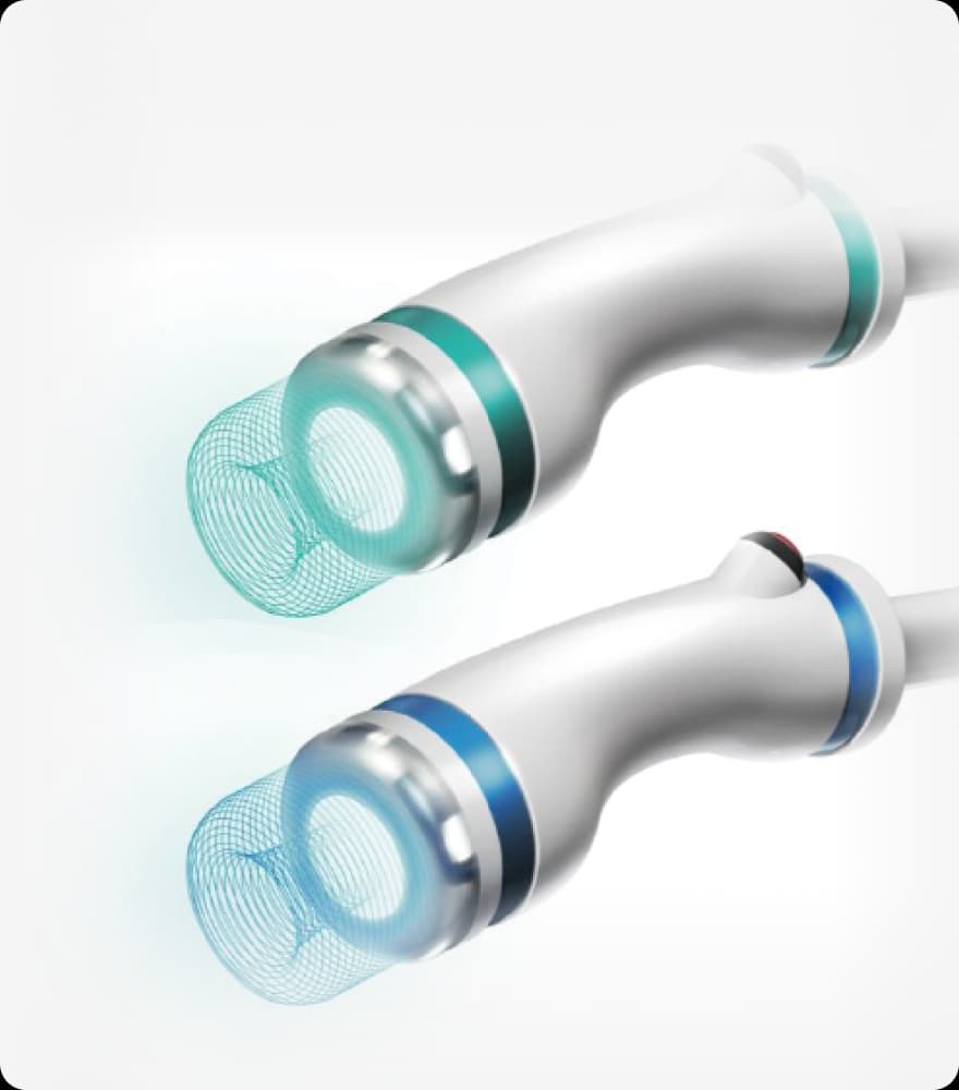 트리클 카드 배경