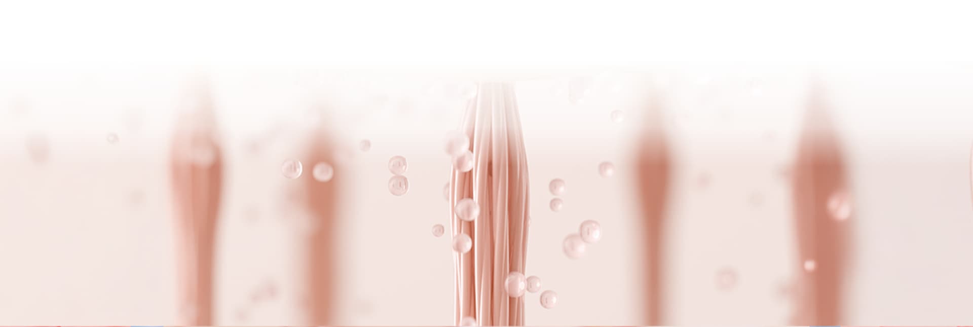 รูปภาพการรักษา