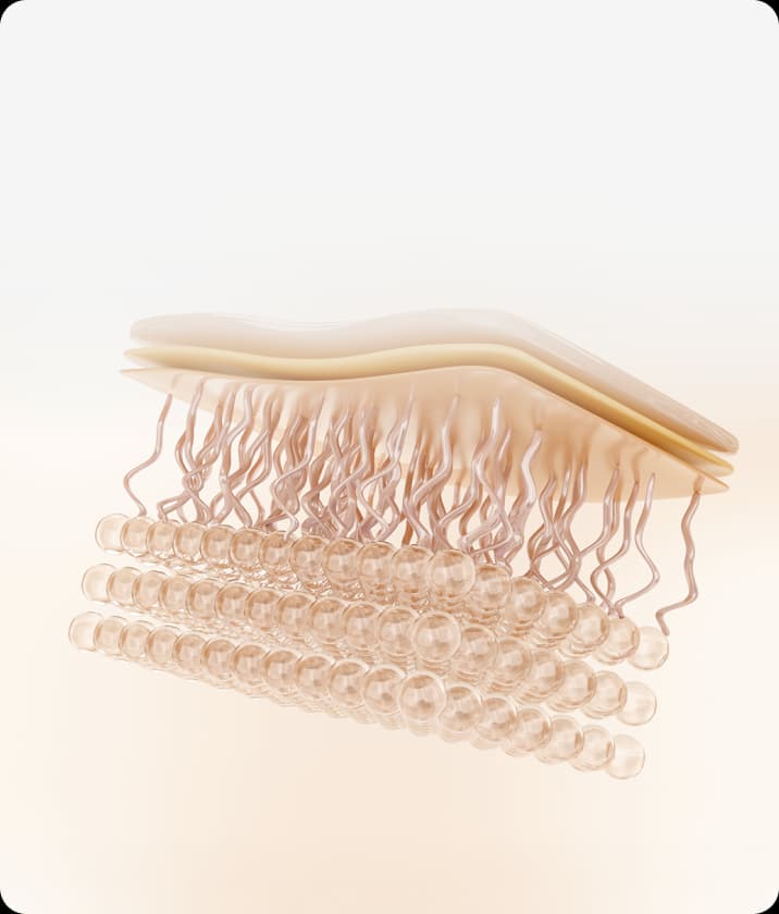 트리클 카드 배경