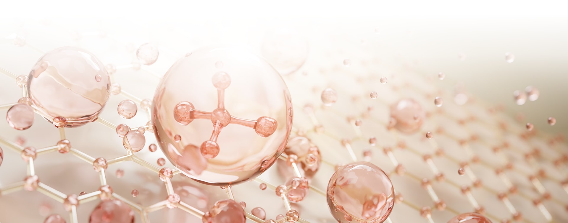 รูปภาพการรักษา