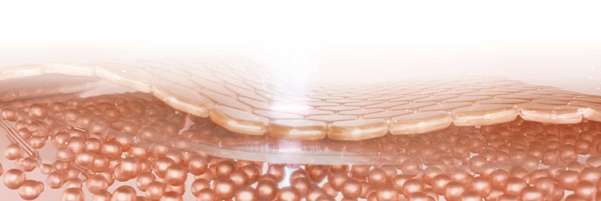 รูปภาพการรักษา