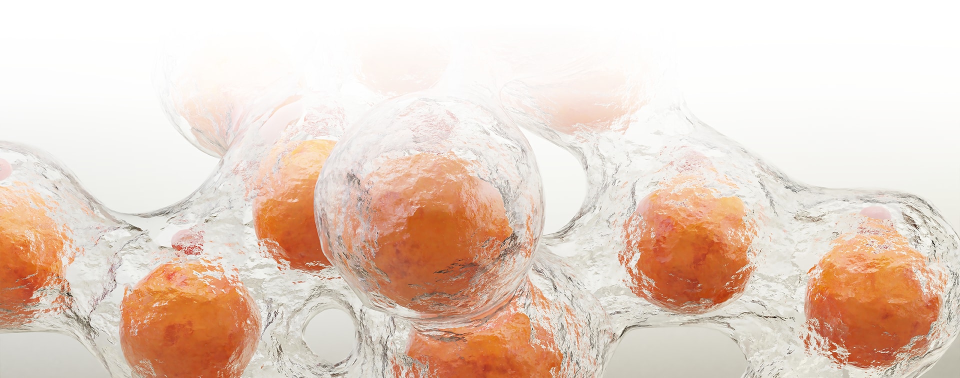 Hình ảnh liệu trình