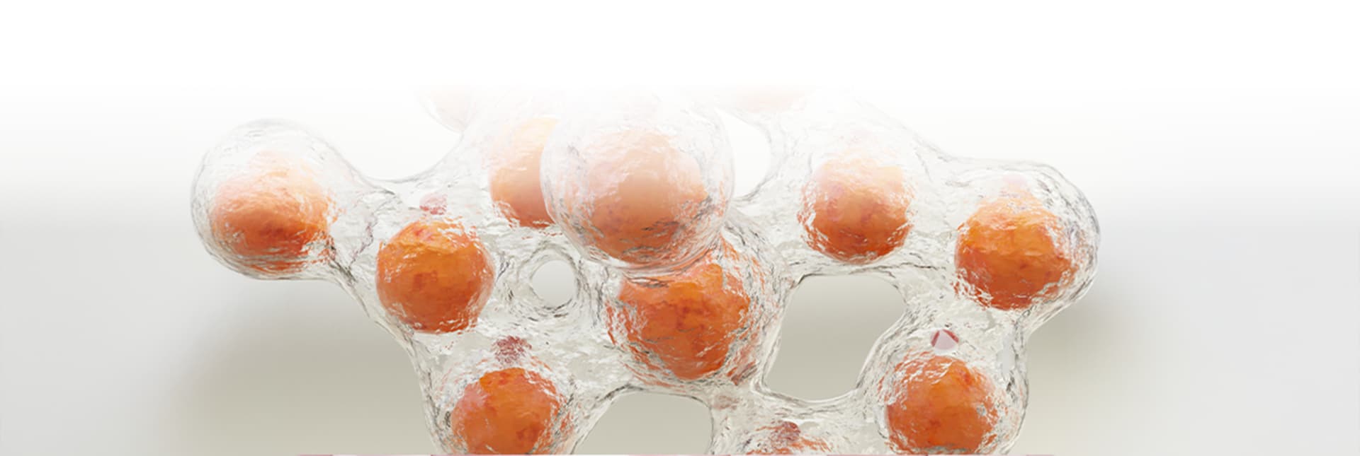 Hình ảnh liệu trình