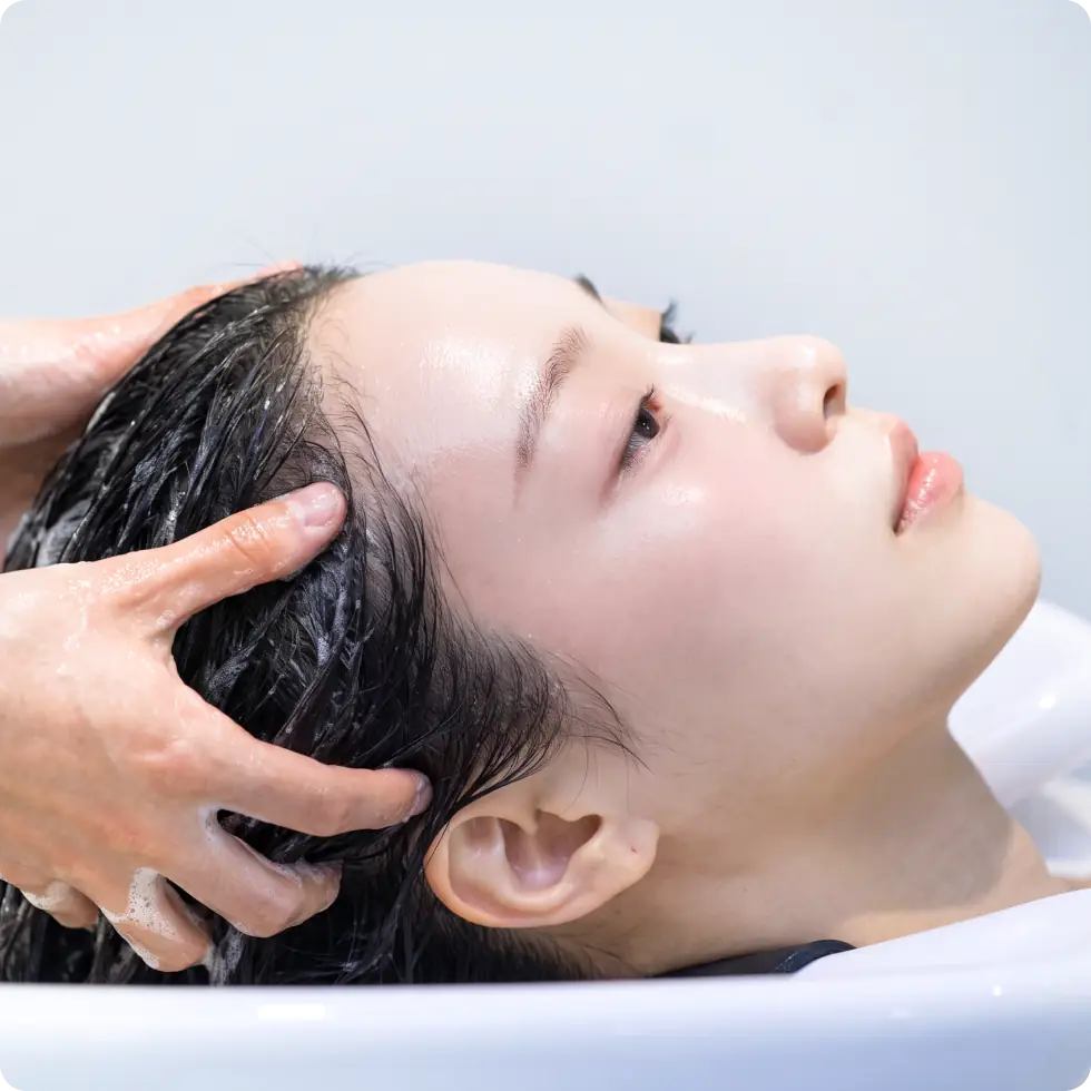 1:1 定制深层清洁 & 仪器护理